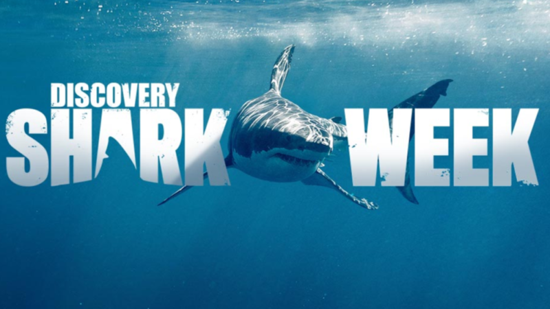 Discovery Channel’s Shark Week Takes a Marketing Bite