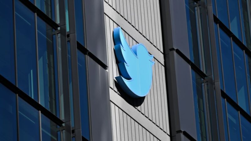 Elon Musk owner of Twitter confirms plans for smart TV video app